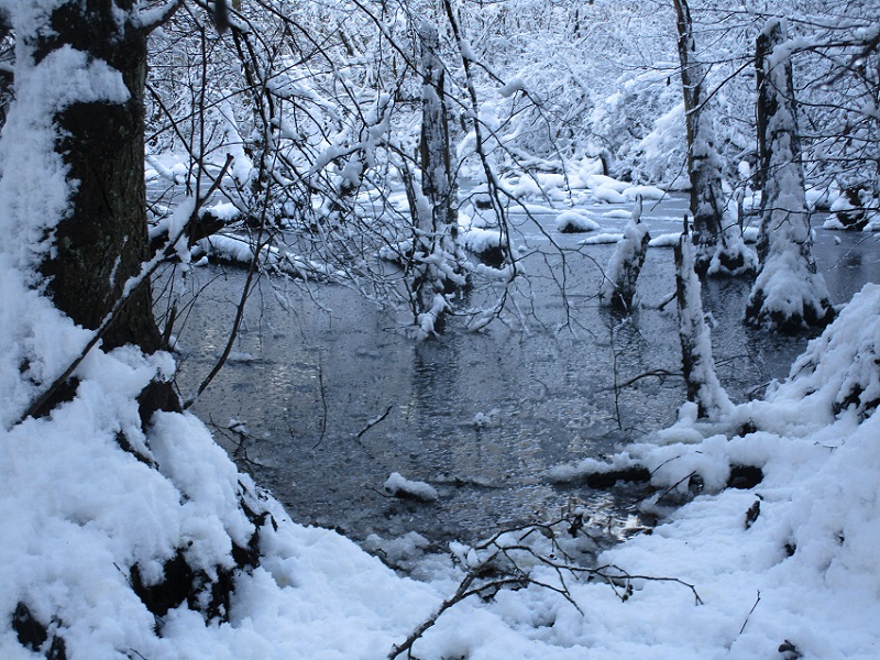 Brrrrrr! Brrrrrr!